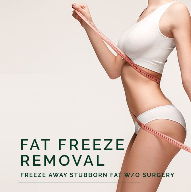 fat freeze removal body